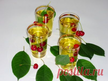 Чай из листьев вишни. Польза и вред. | Cofete.ru