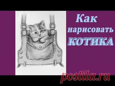 Как нарисовать кота карандашом | Рисуем котенка в кармашке | Art School