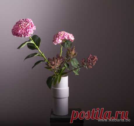 What is Ikebana? - avorodisa2@gmail.com - Gmail