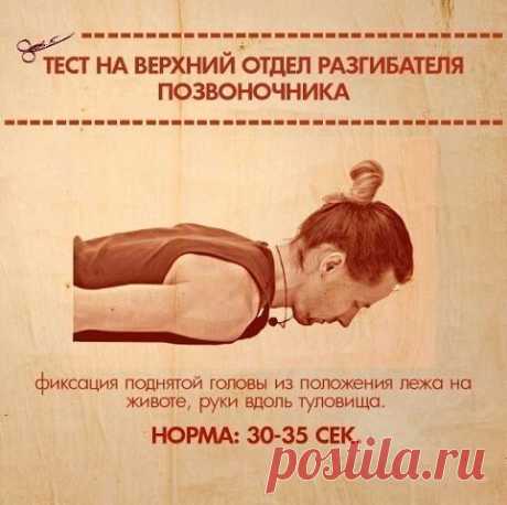 ТЕСТЫ НА ФУНКЦИОНАЛЬНУЮ СЛАБОСТЬ МЫШЦ.