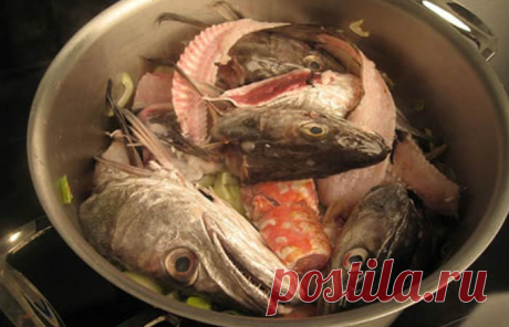 Суп из рыбьих голов и хвостов – пошаговый рецепт рыбного супа пюре