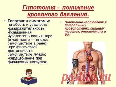 Низкое давление: советы на каждый день
Гипотоники очень любят поспать. И если в среднем человеку необходимо 6-8 часов сна, то тем, у кого давление «в минус» 9-12 часов - в самый раз. Их часто называют «сони, лентяи», а на самом деле долго спать и «лениться» по утрам - физиологическая потребность их организма.Вот несколько простых, но важных рекомендаций, которые помогут ощущать себя комфортней и бодрее уже с утра:    никогда не вставайте резко;    после пробуждения полежите еще несколько минут,