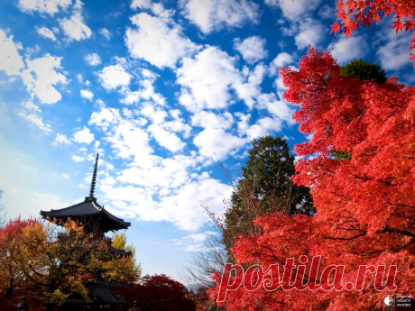 Осень в Киото - Путешествуем вместе