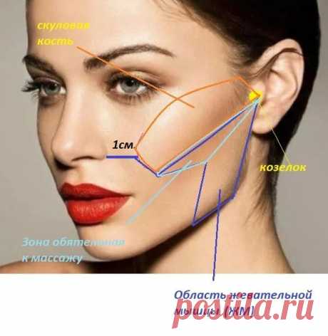 Молодость лица, хороший отток лимфы и крови, подтянутые щеки, овал лица: делаем массаж "под... Как помочь своему здоровью и молодости лица с помощью массажа под областью скуловой кости