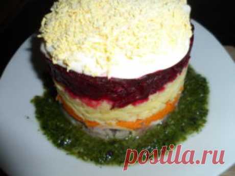 Рецепт сельди под шубой с зеленым чесночным соусом с фото пошагово 🔥 на Вкусном Блоге