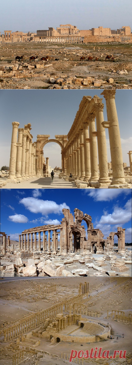 Древний город Пальмира в Сирии - Чудеса света