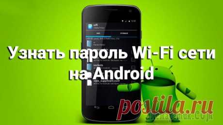 Как узнать пароль Wi-Fi на телефоне Android — 3 способа