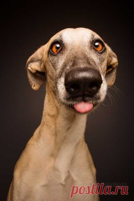500px / No further comment by Elke Vogelsang