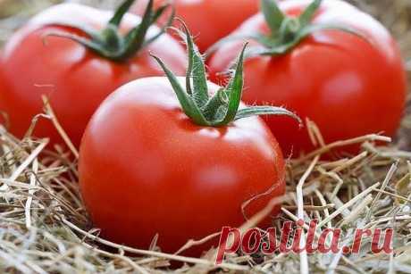 Как сохранить томаты свежими надолго.