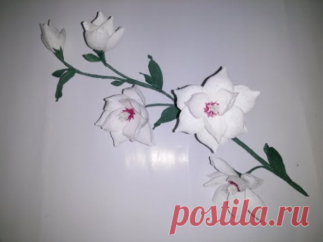 D.I.Y - How to make Magnolia paper flower Làm hoa mộc lan bằng giấy nhún