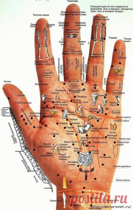 Как узнать о болезнях по руке
