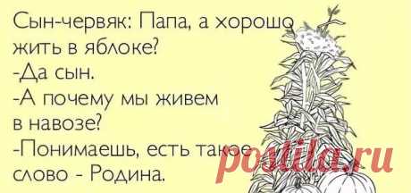 Анекдот про двух навозных червяков : "это наша родина": 1 тыс изображений найдено в Яндекс Картинках