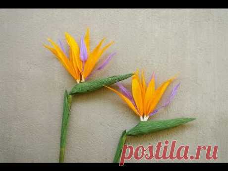 ABC TV | How To Make Bird Of Paradise Paper Flower From Crepe Paper - Craft Tutorial