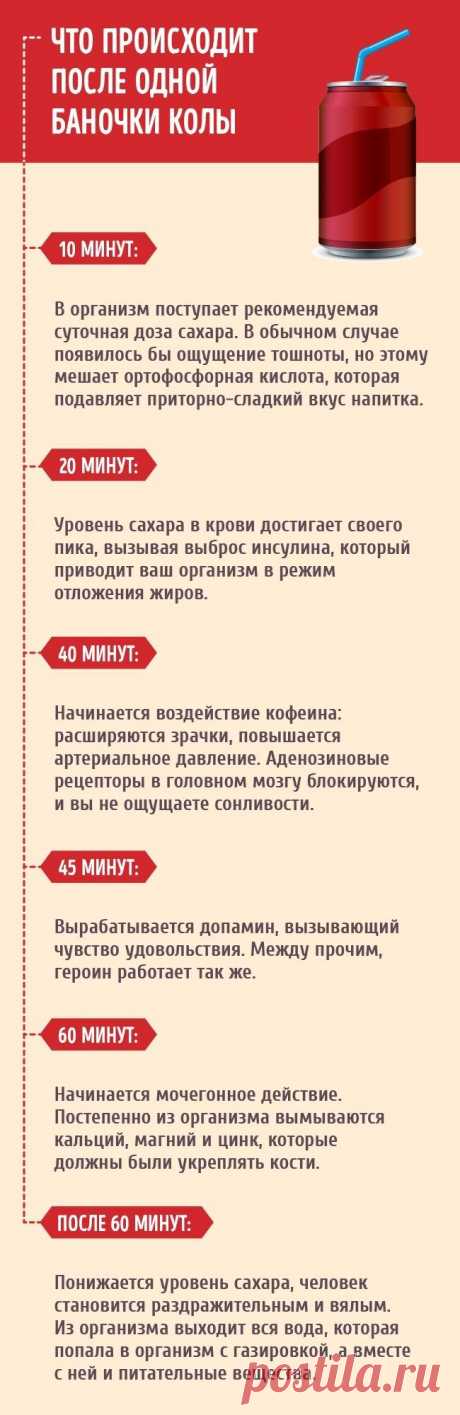 Что делает с нашим организмом баночка колы О вреде этого популярного напитка слышали, наверное, все. Но далеко не каждый вникал в причины этого утверждения.Мы публикуем информацию, что делает с нашим телом регулярное употребление колы и почему...