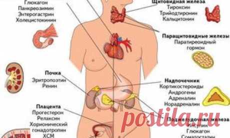 Потрясающее средство омоложения всех тканей организма! | Golbis