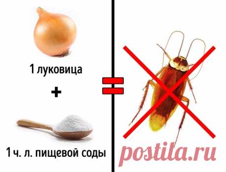 3 безопасных способа избавиться от насекомых в доме 
Избавиться от насекомых при помощи ядов очень легко, но при этом весьма опасно, тем более если у вас есть дети и домашние животные.Мы собрали советы, как избавиться от непрошеных гостей раз и навсегд…