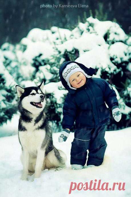 Волшебная зима: дети и животные в лесу (20 фото Елены Карнеевой)