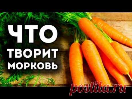 Вот что сделает с вашим телом всего 1 морковь в день | #Shorts