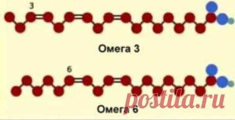 Омега3 | vita-jizn.net