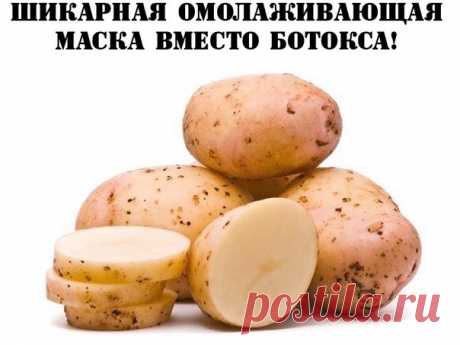 - 1 ст. ложка растворить в 100 мл холодной воды, влить эмалированную миску, добавить 500 мл кипятка. Варить до загустения.
- Добавить 5 ст. ложек свежевыжатого сока морковки и 1 ст. ложку жирной сметаны. Тщательно размешать. Нанести тонким слоем на лицо на 20-25 мин.
- Смыть теплой водой и нанести на кожу лица крем.
- Оставшуюся смесь можно использовать в течение 3 дней. Хранить в холодильнике.
Для более эффективного результата, маску надо делать 3 ДНЯ ПОДРЯД.