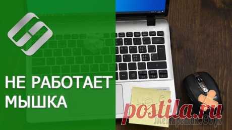 Перестала работать мышь на компьютере или ноутбуке, что делать