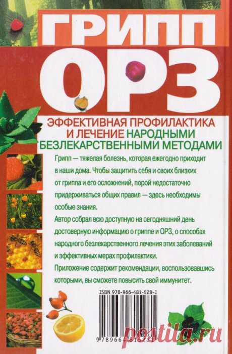 Грипп, ОРЗ: эффективная профилактика и лечение народными безлекарственными методами (fb2) | КулЛиб - Классная библиотека! Скачать книги бесплатно