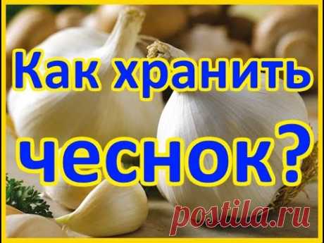 Как хранить чеснок.  (Как сохранить чеснок до следующего урожая_