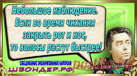 Новости от дядьки Швондера, классный анекдот, смешная фраза, веселая фенечка, каламбур, афоризмы, смех, забавные картинки, сложный юмор, непонятные анекдоты, цитаты из интернета, мэмчик, развлечение, Швондер говорит, Шариков, Собачье сердце, улыбка до ушей, веселый сайт, забава, смешарик, мем, потеха, картинка со смыслом, фарс, наколка, мемасик, шутка, юмор, анекдоты в картинках, юмор в картинках, свежие приколы, Швондер, смешная фишка, улыбка, интересное в сети, смех, швондер.рф, #швондер.рф