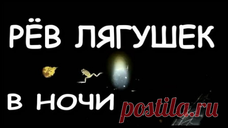 Дача Своими Руками. | Мой дачный пруд. в пруду. Звуки природы. Рёв лягушек