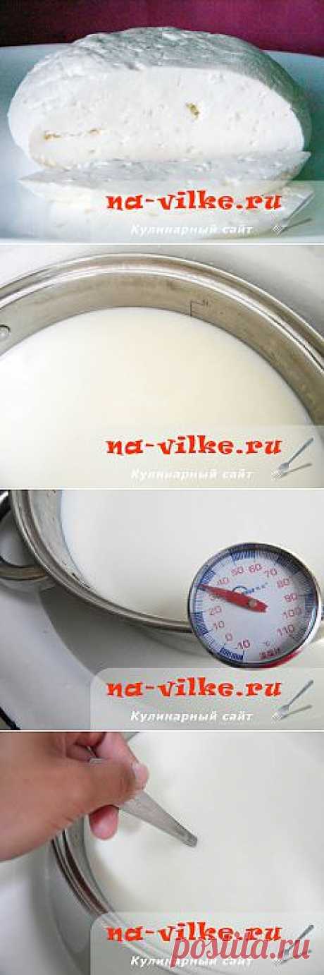 Домашний сыр моцарелла - упрощённый рецепт с фото