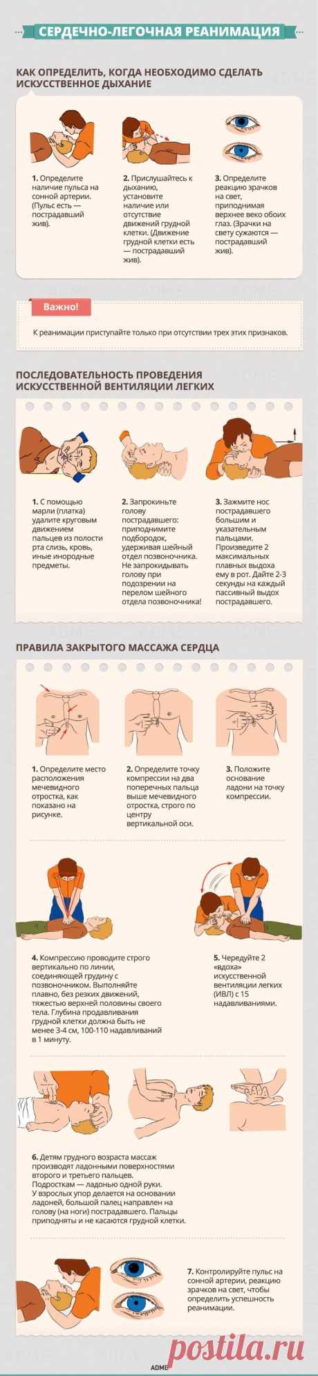 Гид по оказанию первой помощи Каждый человек должен знать элементарные правила первой помощи пострадавшим. Прямо назубок. Когда они пригодятся, никогда не знаешь, но читать инструкции точно будет некогда. На основании рекомендаций...