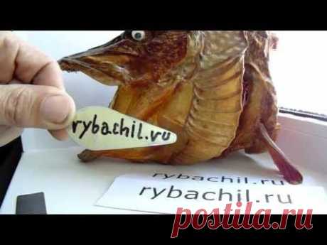 Изготовление блесны на щуку в домашних условиях.Видео rybachil.ru