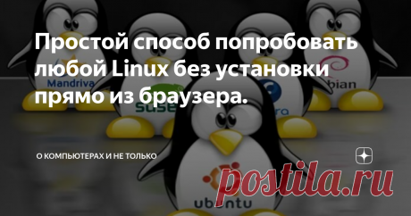 Простой способ попробовать любой Linux без установки прямо из браузера. Неопытному пользователю сразу не так просто разобраться, что выбрать для себя: ALT Linux, Linux Mint  или, например,  Ubuntu. В этом плане Windows немного проще: поставил последнюю Windows 10 и не нужно ничего выбирать.