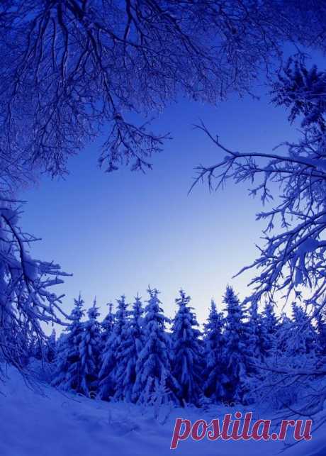 Beautiful Winter Scenes