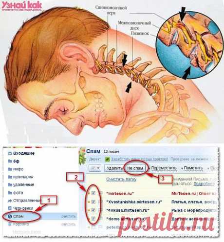 Если болит шея | Домохозяйки