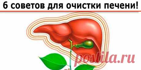 6 советов для очистки печени - Полезные советы 1. Пейте чистую воду, добавляя на один стакан сок половины лимона. Лимонный сок стимулирует печень на выброс токсинов, а вода выводит эти шлаки через выводящую систему. 2. Ешьте чеснок и лук. Это может не понравиться вашим родным и близким, а вот для печени это будет самое то. Лу...