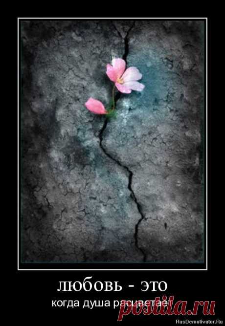Любовь – восхитительный цветок, но требуется отвага, чтобы подойти и сорвать его на краю пропасти.