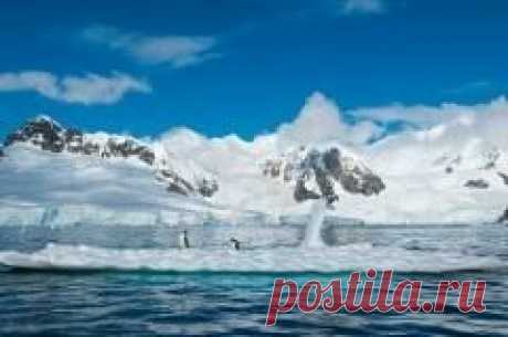 7 марта в 1912 году Амундсен известил мир об открытии им Южного полюса