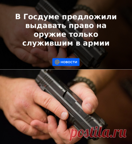 12-5-21-В Госдуме предложили выдавать право на оружие только служившим в армии - Новости Mail.ru