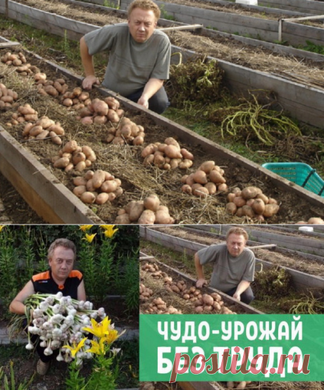 Науникальнейший огород Игоря Лядова!!! Оказывается, Высокие грядки — залог хорошего урожая!