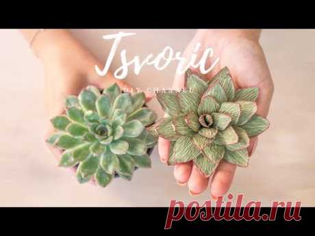 Суккулент из бумаги - DIY Tsvoric - Succulent paper