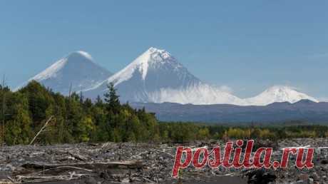На Камчатке вулкан Ключевской выбросил столб пепла