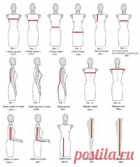 Снятие мерок и прибавки на свободу облегания по итальянской методике кроя