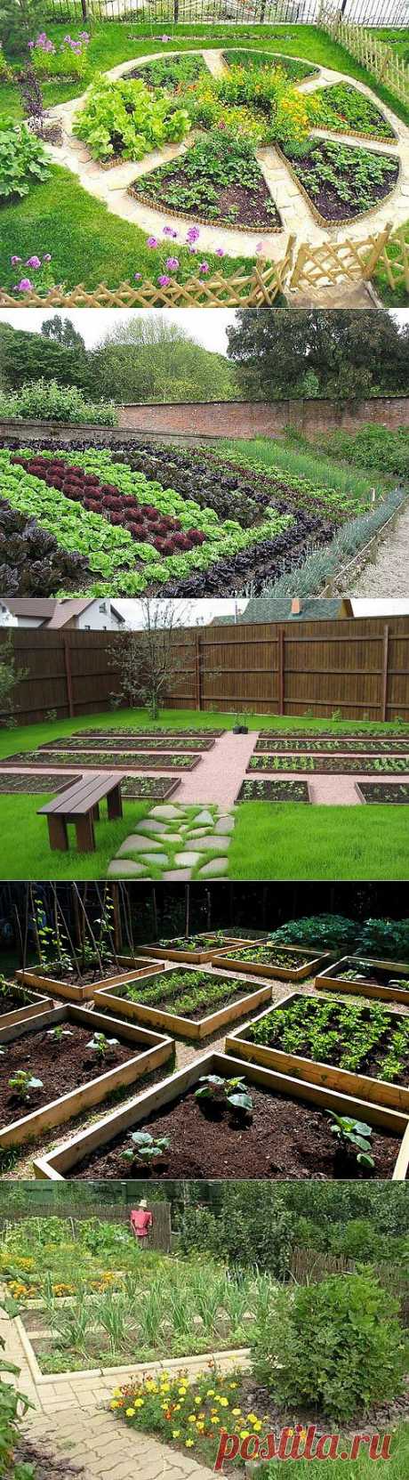 Декоративный огород: как сделать красивые грядки | Дом Мечты