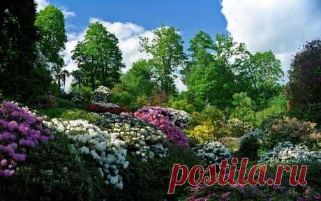 - Сады и парки Англии /Parks and Gardens of Englan | Записи в рубрике - Сады и парки Англии /Parks and Gardens of Englan | Дневник teanika