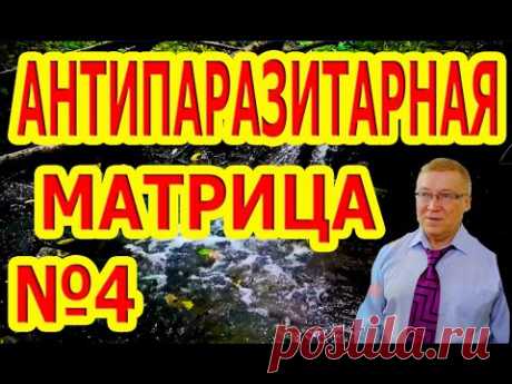 Матрица №4 Антипаразитарная!