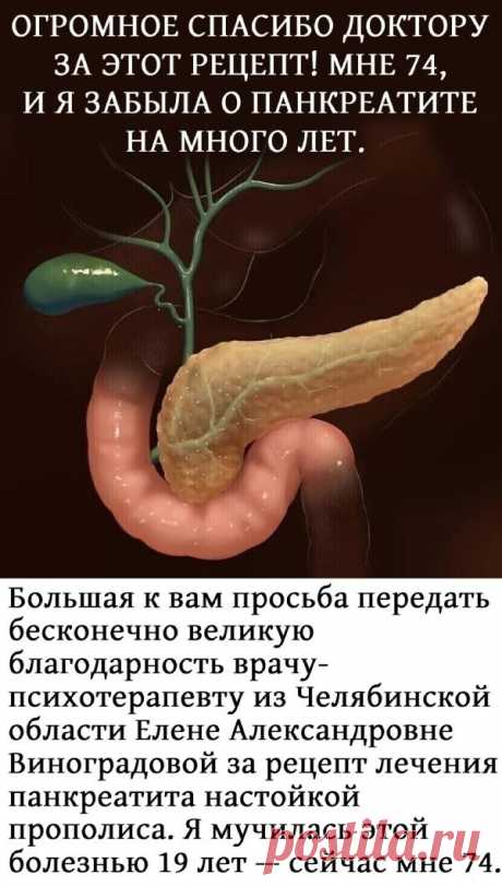 ОГРОМНОЕ СПАСИБО ДОКТОРУ ЗА ЭТОТ РЕЦЕПТ! МНЕ 74, И Я ЗАБЫЛА О ПАНКРЕАТИТЕ НА МНОГО ЛЕТ. ЗАБИРАЙТЕ СЕБЕ! Вот уже много лет живу без болей. Лечение простое и дешевое: 20 капель 10%-ной настойки прополиса (есть в аптеках) накапать в полстакана вскипяченного горячего молока. Выпить перед сном и сразу же лечь в постель. И так 10 вечеров подряд в течение месяца. Все лечение составляет 6 месяцев. КАК НАСТОЙКА ПРОПОЛИСА МЕНЯ СПАСЛАЯ рекомендую ... &lt;a title="ОГРОМНОЕ СПАСИБО ДОКТОР...