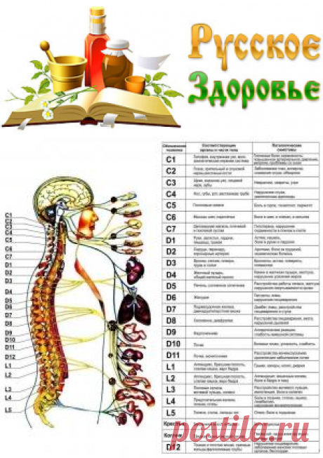 Как наш организм реагирует на проблемы со здоровьем