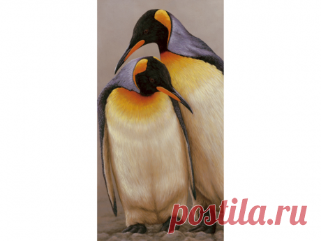 Оригинальная картина пара королевских пингвинов - художник дикой природы Роберт Э. Фуллер
