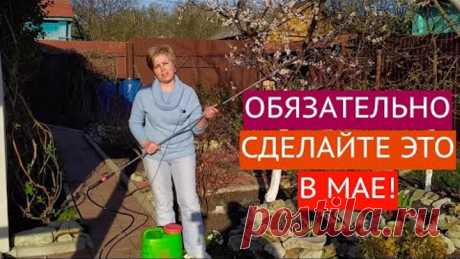 ОСНОВНЫЕ РАБОТЫ В САДУ И ОГОРОДЕ В МАЕ!